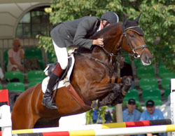 Das sportliche Aushängeschild des Stutenstammes der Falkenflotte ist der elfjährige Golden Miller Wallach Ganowe, den Andre Thieme zu internationalen Erfolgen reitet. Fotos: Jutta Wego